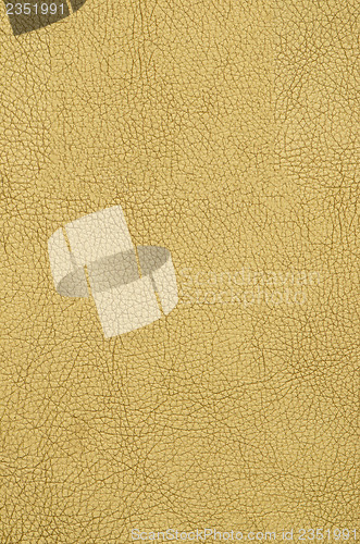 Image of Golden color leather