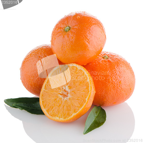 Image of Tangerines