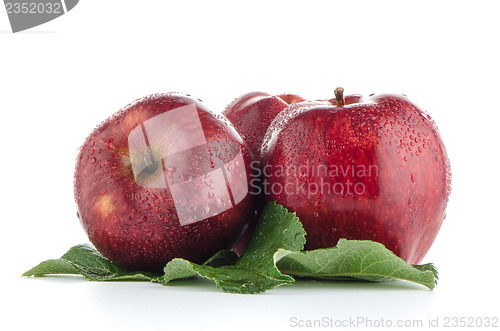 Image of Ripe red apples