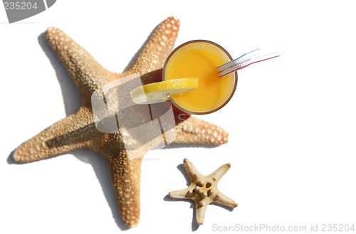 Image of Tropical Drink and Starfish