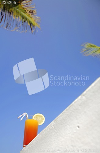 Image of Tropical Drink and Palms