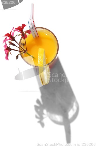 Image of Tropical Drink and Shadow