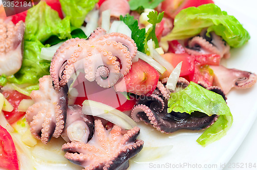 Image of octopus salad