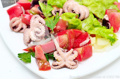 Image of octopus salad