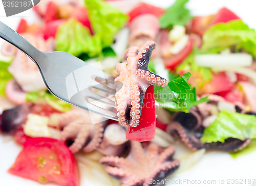 Image of octopus salad