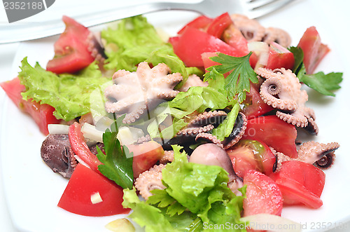 Image of octopus salad