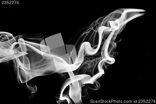 Image of Abstraction: white smoke shape and swirls 