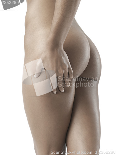 Image of naked sexy female body