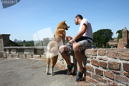 Image of Akita inu