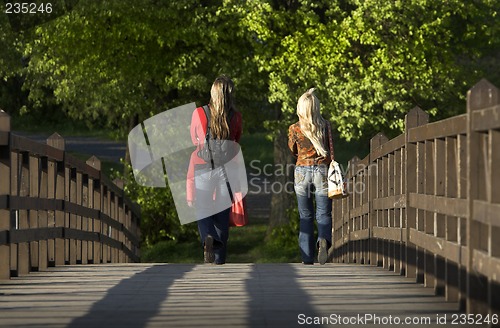 Image of On the wooden bridge