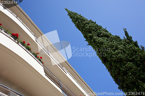 Image of hotel and a thuja