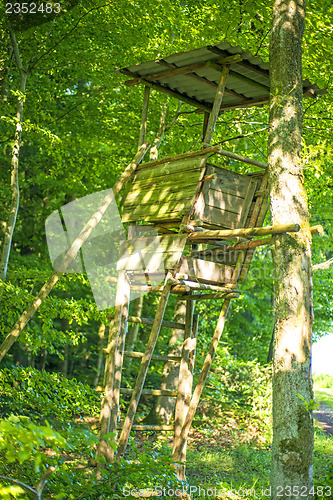 Image of hide in a forest