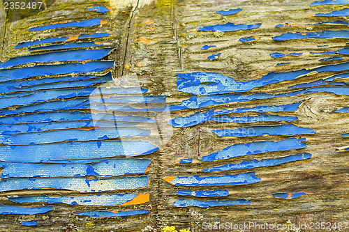 Image of old rotten plank with blue color 