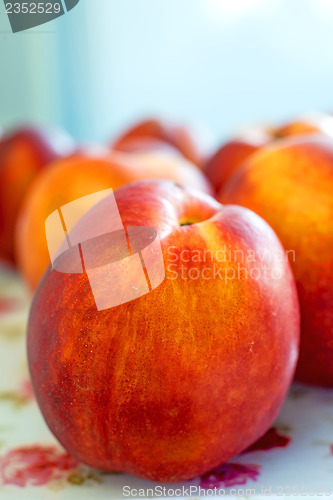 Image of nectarine