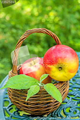 Image of apples in a basket