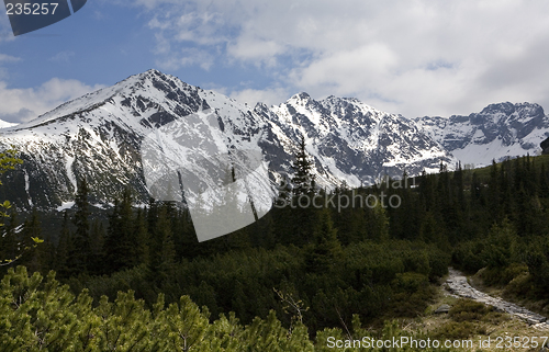 Image of Tatry