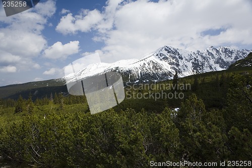 Image of Tatry