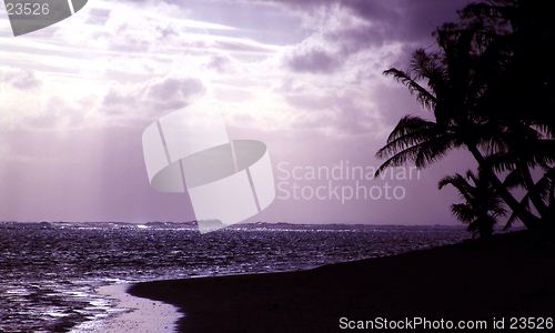 Image of Purple Sunset Silhouette