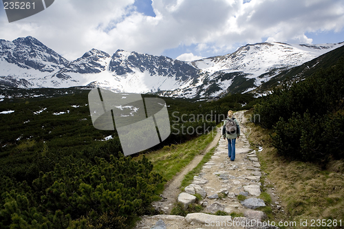 Image of Hiking in the mountains