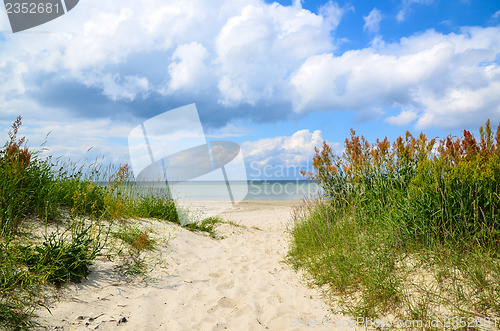 Image of Path to the beach