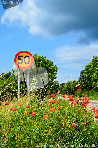 Image of Road sign at summer flowers