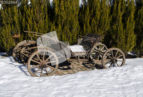 Image of vintage wooden carriage snow winter thuja plants 