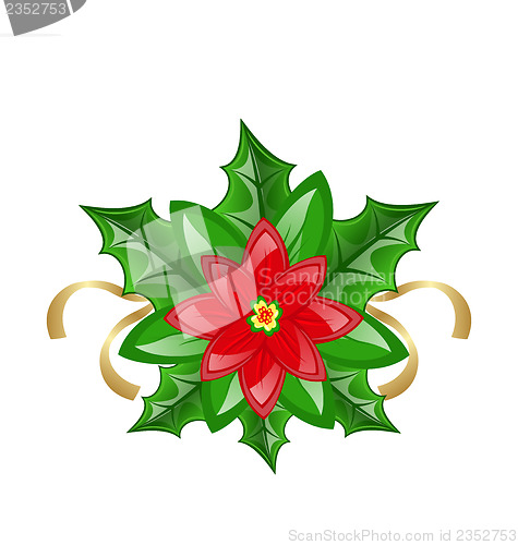 Image of Flower poinsettia for christmas decoration