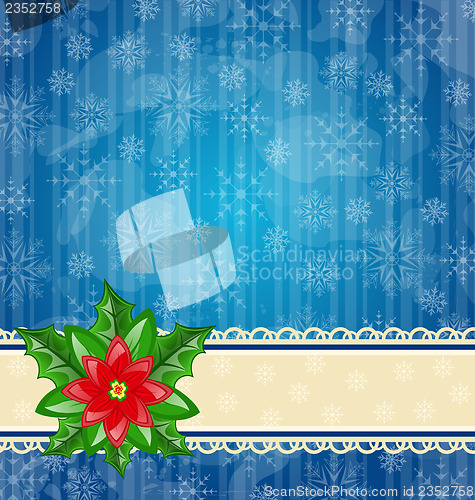 Image of Christmas wallpaper with flower poinsettia