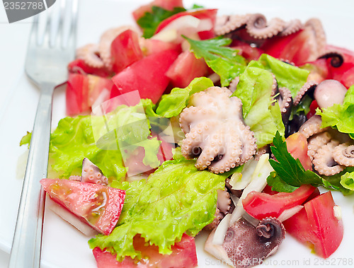 Image of octopus salad