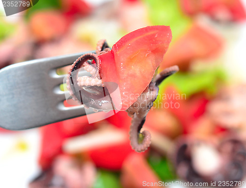 Image of octopus salad