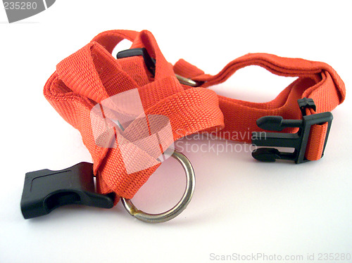 Image of dog strap