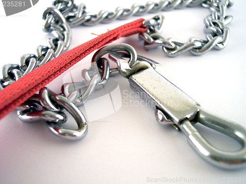 Image of dog leash