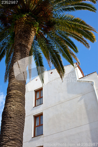 Image of Mediterranean architecture and vegetation