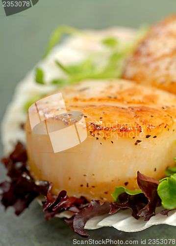 Image of Sea Scallop with greens in a scallop shell