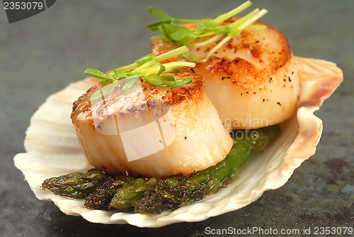 Image of Sea Scallop with asparagus in a scallop shell