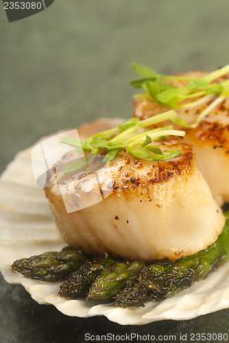 Image of Sea Scallop with asparagus in a scallop shell