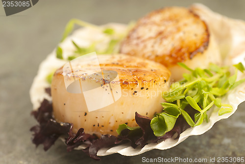 Image of Sea Scallop with greens in a scallop shell