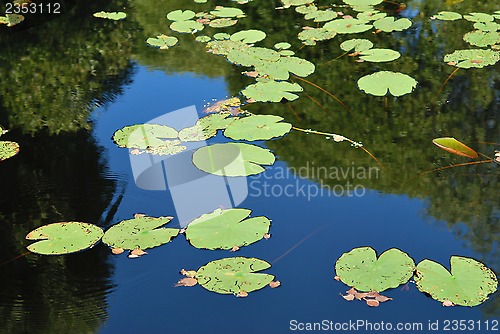 Image of Blue Pond