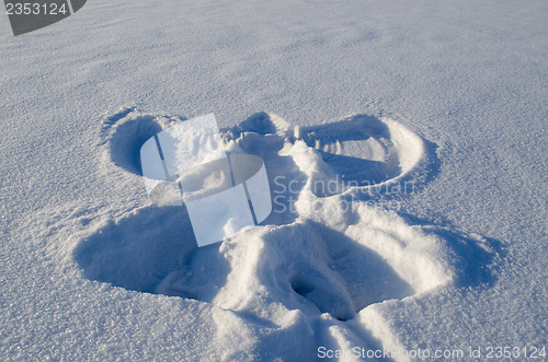 Image of Angel silhouette winter snow made human 