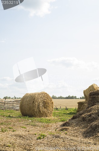 Image of Golden Hay Bales in the countryside