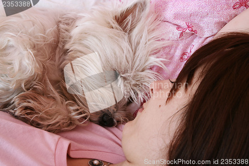 Image of Dog sleeping on bed 