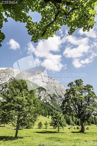 Image of Trees and sunlight in Austria Alps Hinterriss