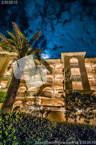 Image of palm tree at night near hotel