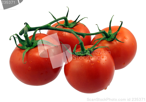 Image of Red Tomatoes