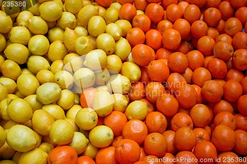 Image of Oranges and Lemons