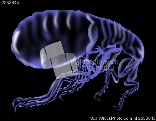 Image of flea silhouette