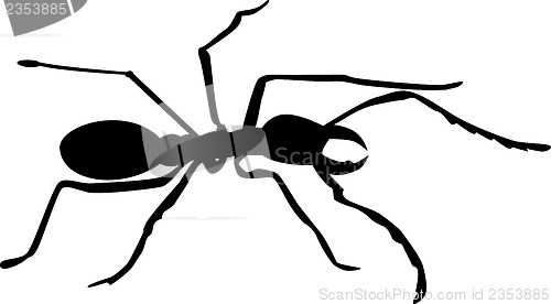 Image of ant silhouette