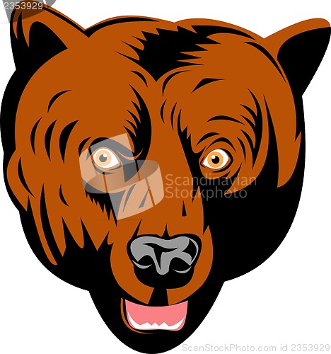 Image of grizzly brown bear head facing front