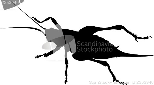 Image of cricket silhouette