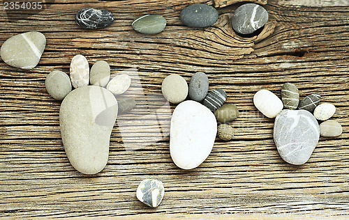 Image of pebble family